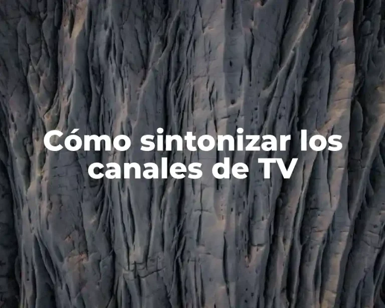 Cómo sintonizar los canales de TV