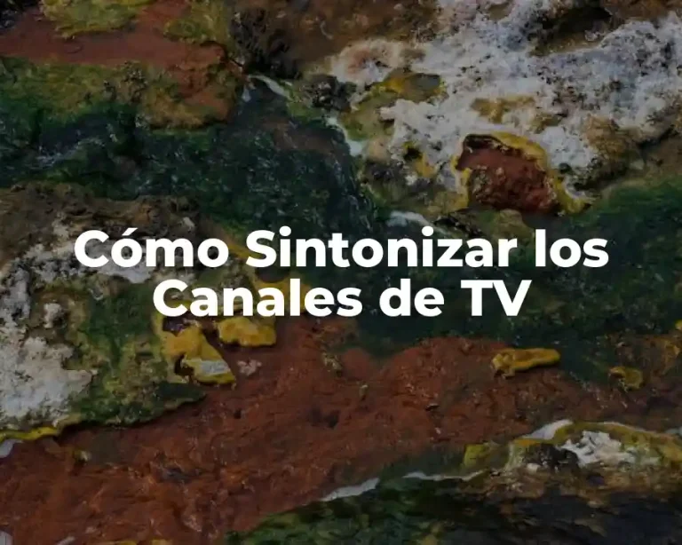 Cómo Sintonizar los Canales de TV