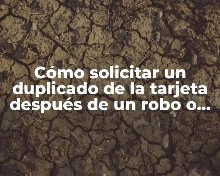 Cómo solicitar un duplicado de la tarjeta después de un robo o pérdida