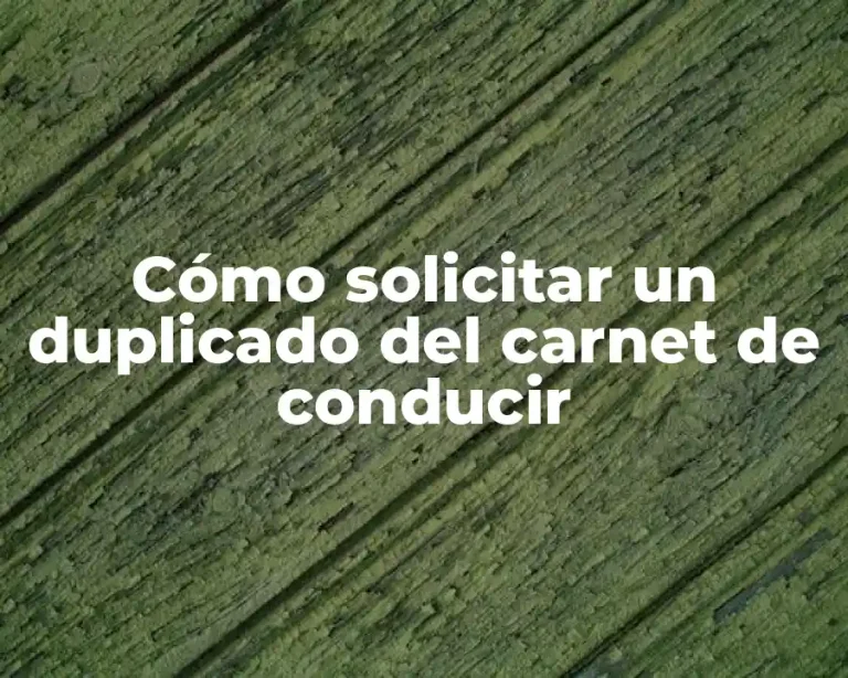 Cómo solicitar un duplicado del carnet de conducir