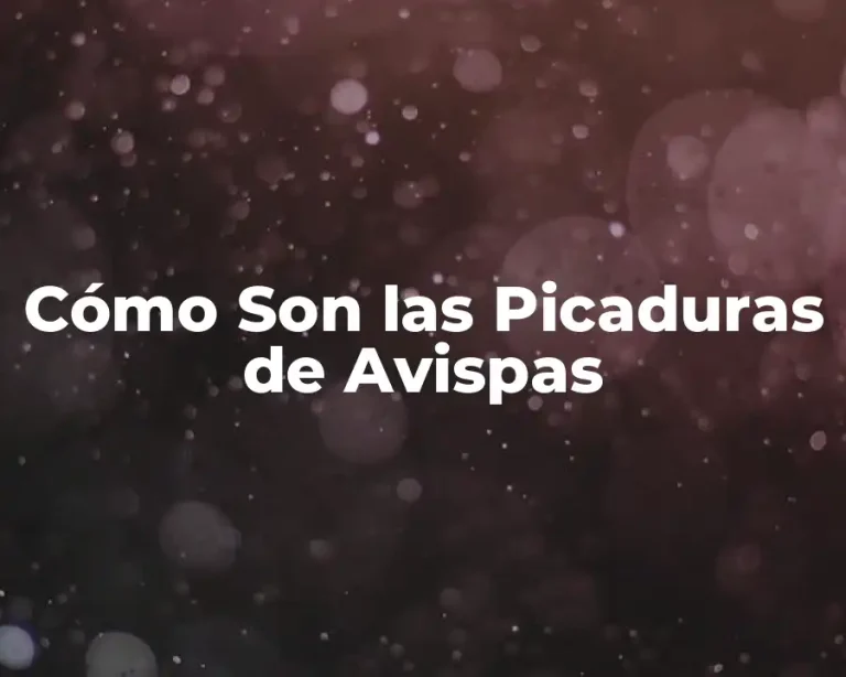 Cómo Son las Picaduras de Avispas