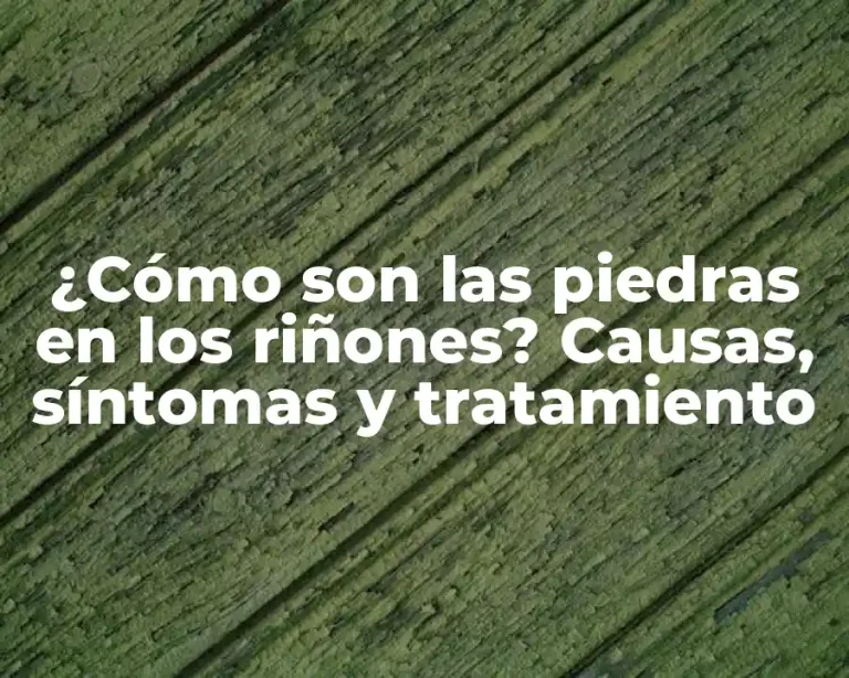 ¿Cómo son las piedras en los riñones? Causas, síntomas y tratamiento