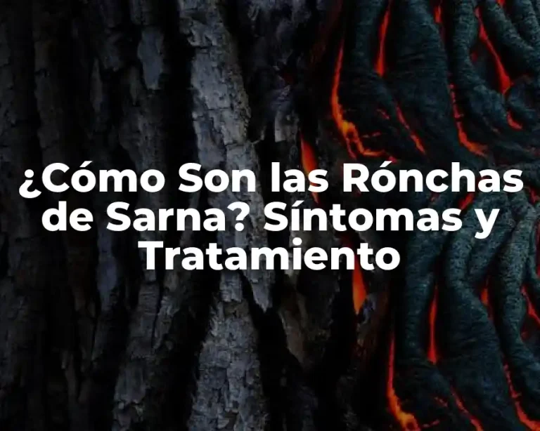 ¿Cómo Son las Rónchas de Sarna? Síntomas y Tratamiento