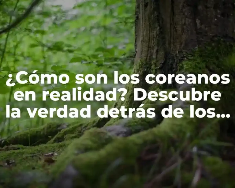 ¿Cómo son los coreanos en realidad? Descubre la verdad detrás de los estereotipos