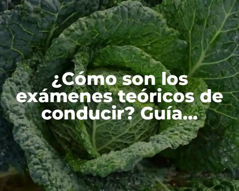 ¿Cómo son los exámenes teóricos de conducir? Guía completa
