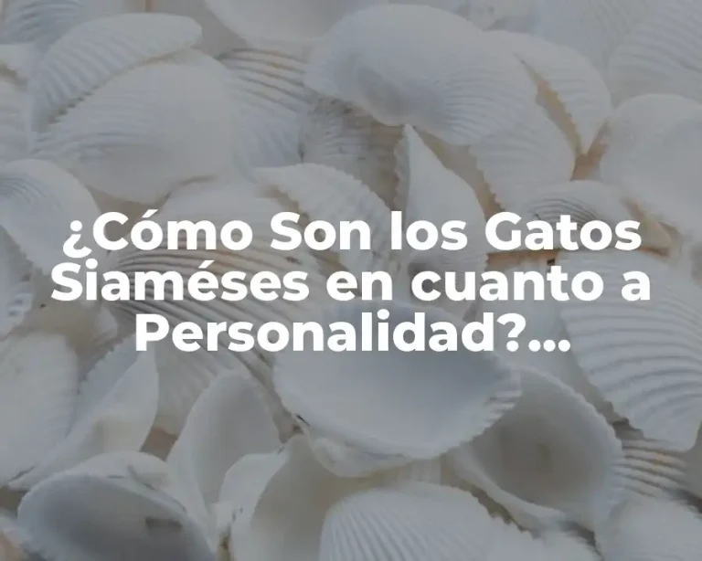 ¿Cómo Son los Gatos Siaméses en cuanto a Personalidad? Descubre sus Rasgos Únicos