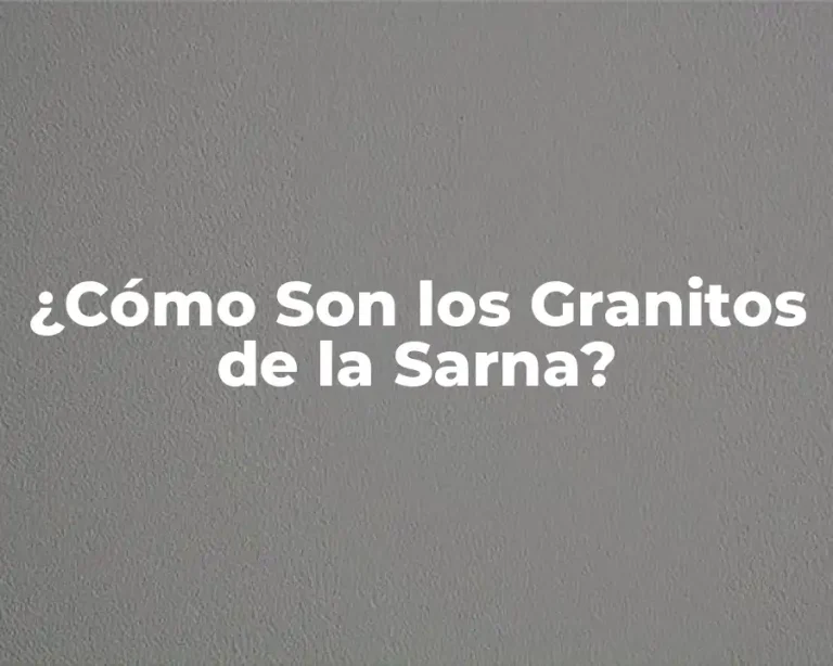 ¿Cómo Son los Granitos de la Sarna?