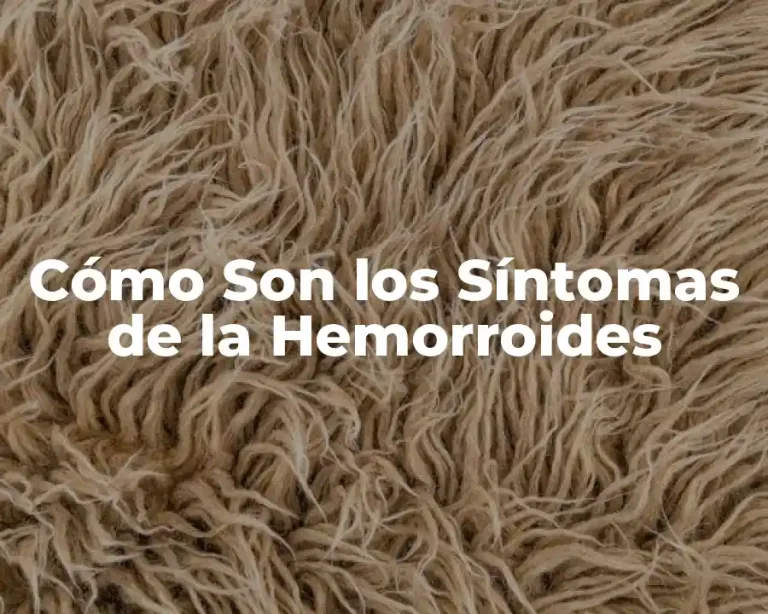 Cómo Son los Síntomas de la Hemorroides