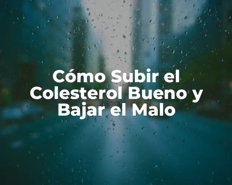 Cómo Subir el Colesterol Bueno y Bajar el Malo