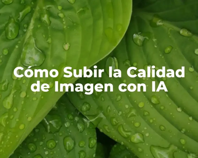 Cómo Subir la Calidad de Imagen con IA