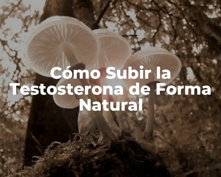 Cómo Subir la Testosterona de Forma Natural