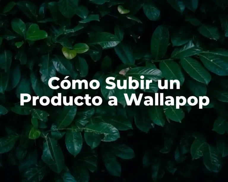 Cómo Subir un Producto a Wallapop