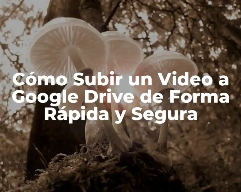 Cómo Subir un Video a Google Drive de Forma Rápida y Segura