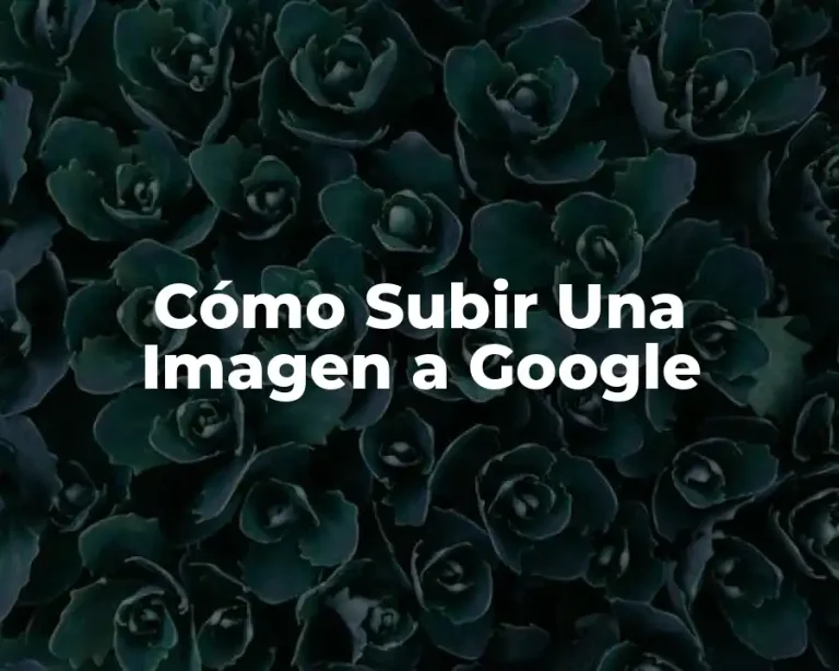 Cómo Subir Una Imagen a Google