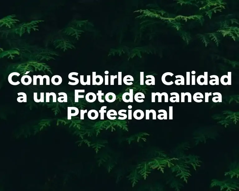 Cómo Subirle la Calidad a una Foto de manera Profesional