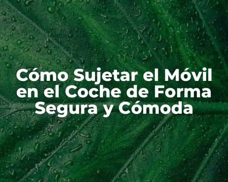 Cómo Sujetar el Móvil en el Coche de Forma Segura y Cómoda