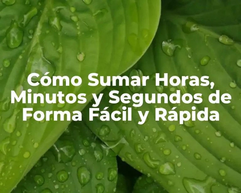 Cómo Sumar Horas, Minutos y Segundos de Forma Fácil y Rápida