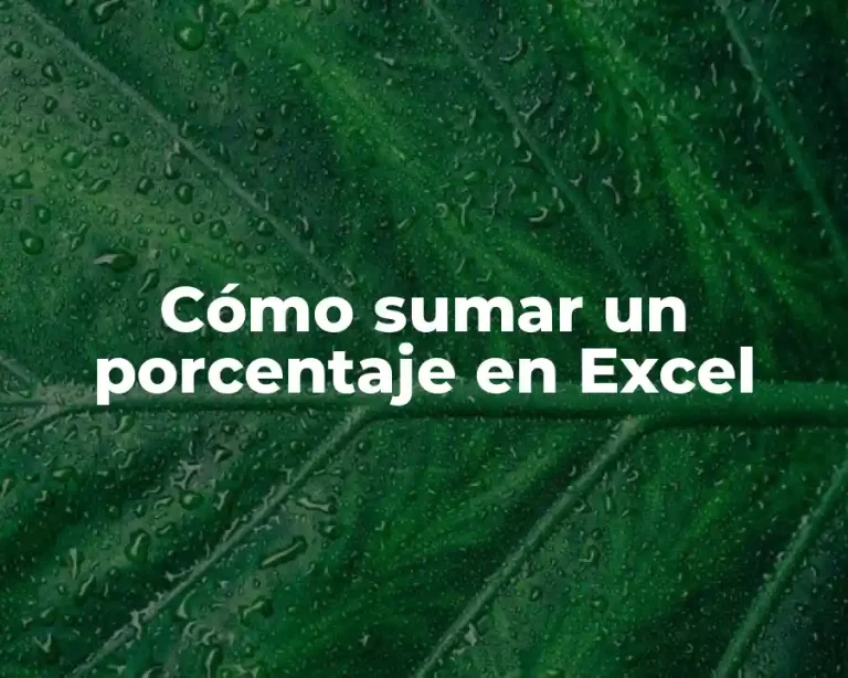 Cómo sumar un porcentaje en Excel