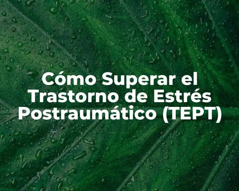 Cómo Superar el Trastorno de Estrés Postraumático (TEPT)