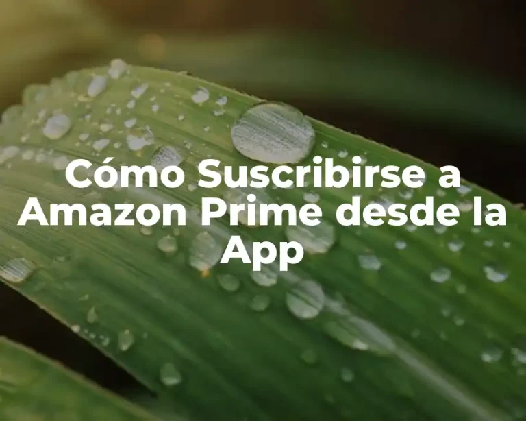 Cómo Suscribirse a Amazon Prime desde la App