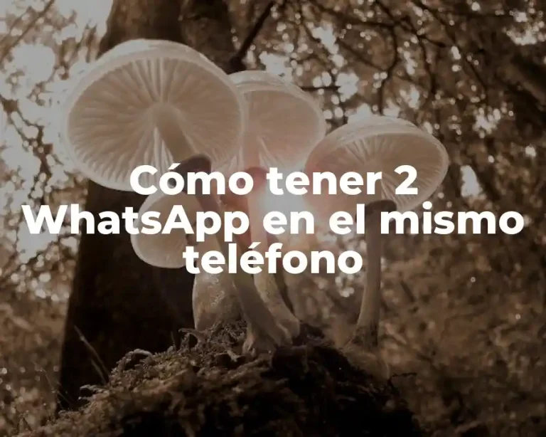 Cómo tener 2 WhatsApp en el mismo teléfono