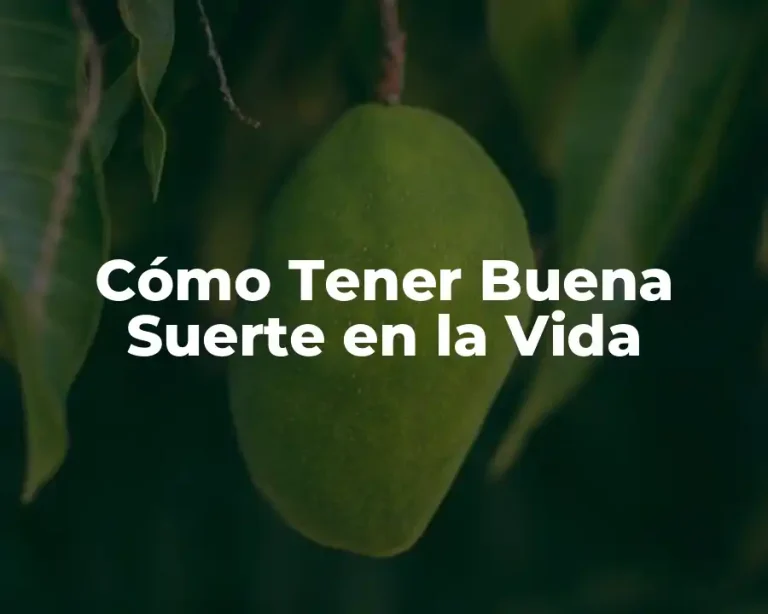 Cómo Tener Buena Suerte en la Vida