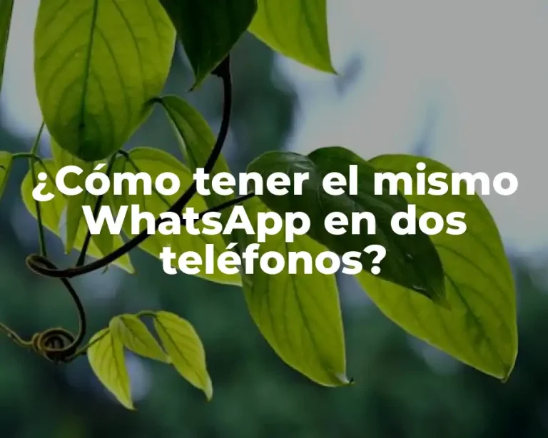 ¿Cómo tener el mismo WhatsApp en dos teléfonos?