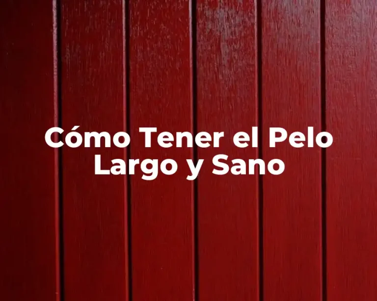 Cómo Tener el Pelo Largo y Sano