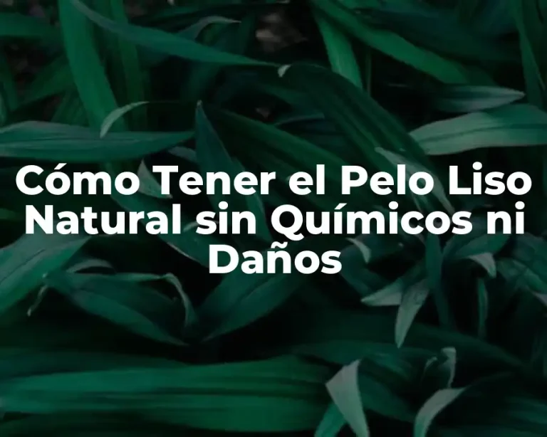 Cómo Tener el Pelo Liso Natural sin Químicos ni Daños