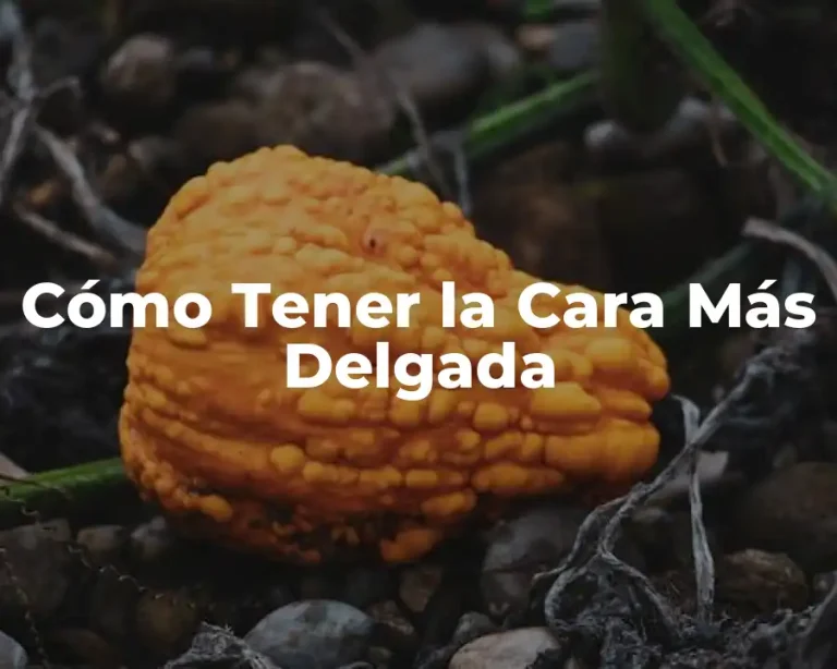 Cómo Tener la Cara Más Delgada