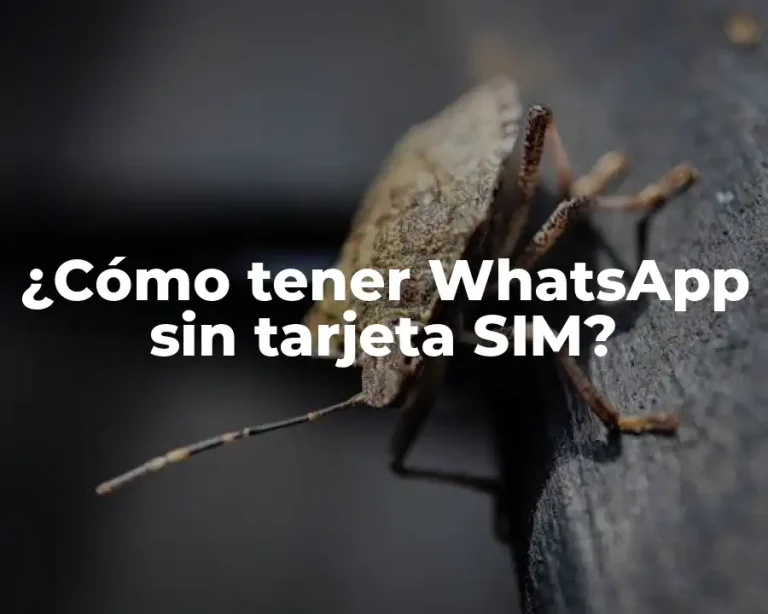¿Cómo tener WhatsApp sin tarjeta SIM?