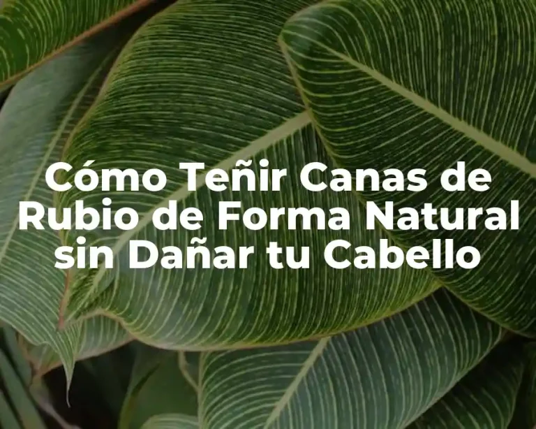 Cómo Teñir Canas de Rubio de Forma Natural sin Dañar tu Cabello
