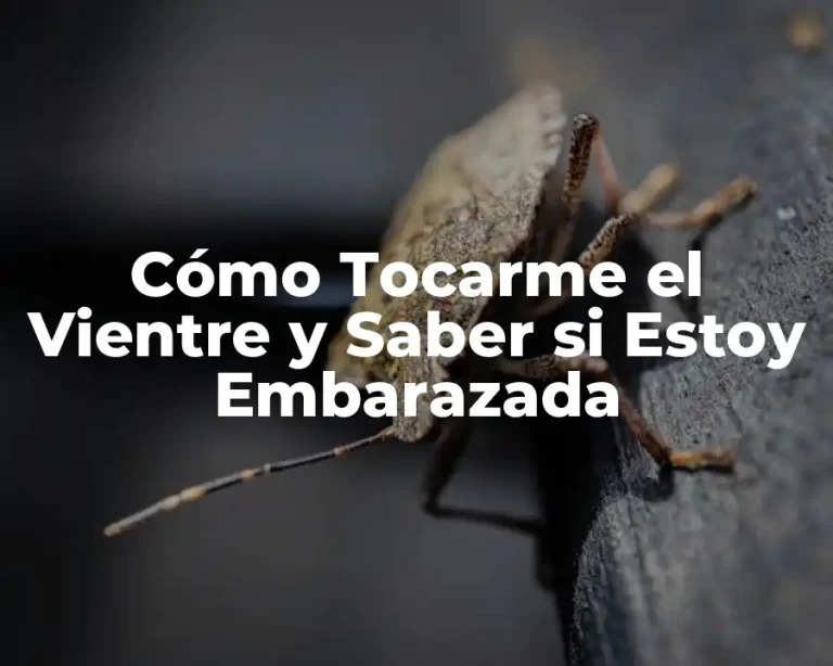 Cómo Tocarme el Vientre y Saber si Estoy Embarazada