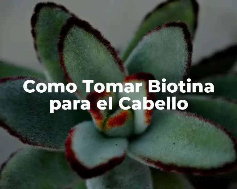 Como Tomar Biotina para el Cabello