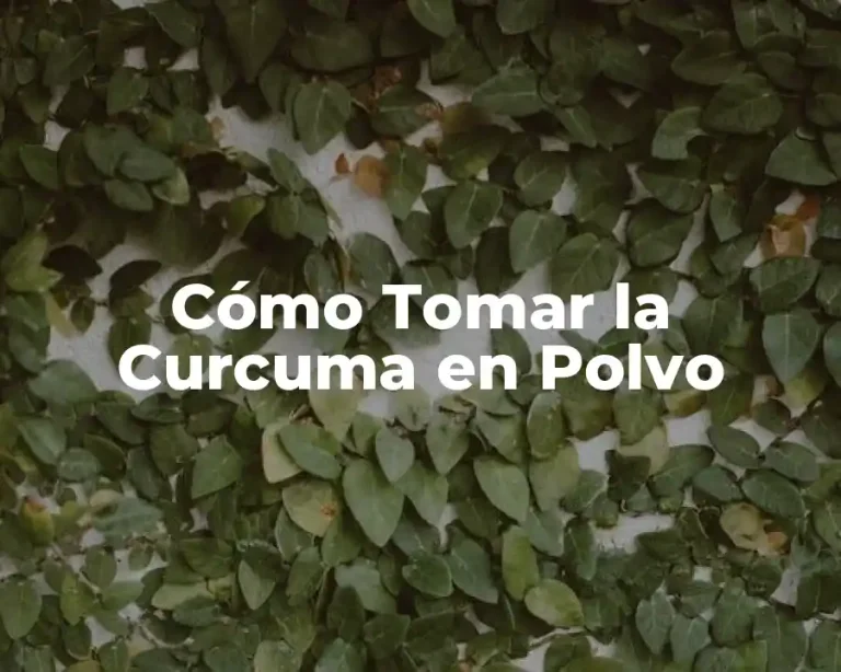 Cómo Tomar la Curcuma en Polvo