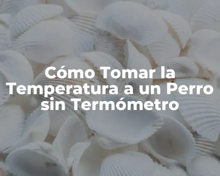 Cómo Tomar la Temperatura a un Perro sin Termómetro