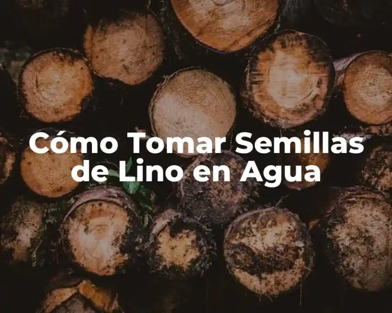 Cómo Tomar Semillas de Lino en Agua