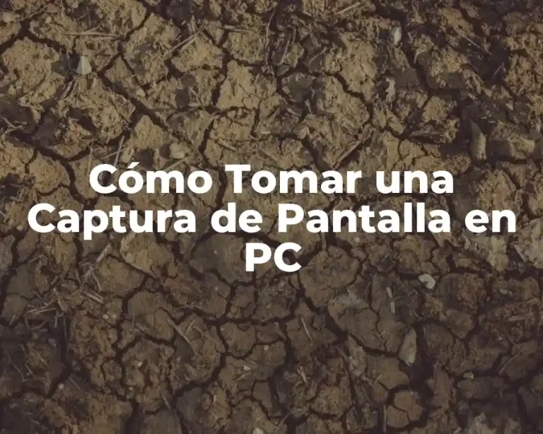 Cómo Tomar una Captura de Pantalla en PC
