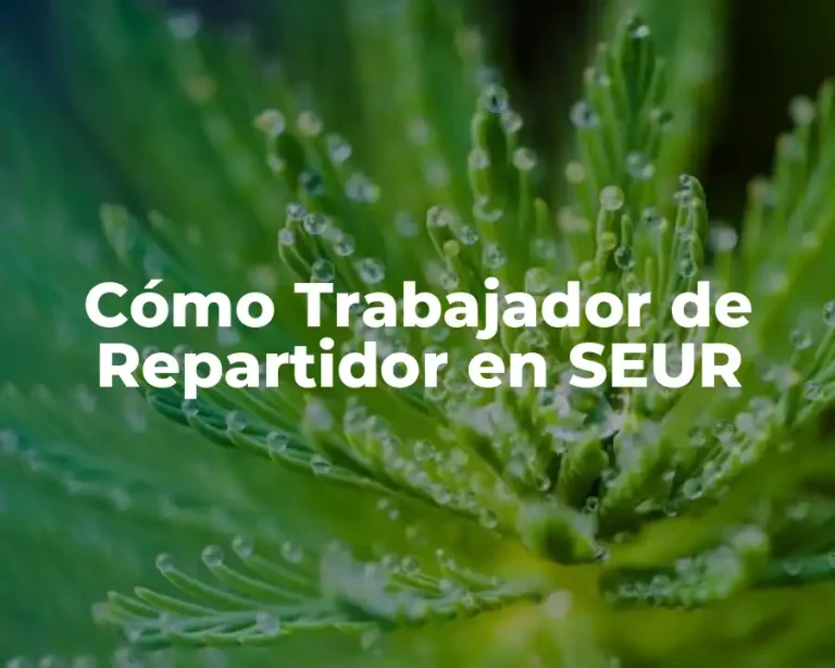 Cómo Trabajador de Repartidor en SEUR