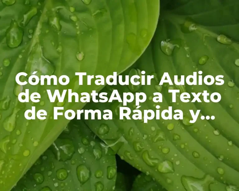 Cómo Traducir Audios de WhatsApp a Texto de Forma Rápida y Exacta