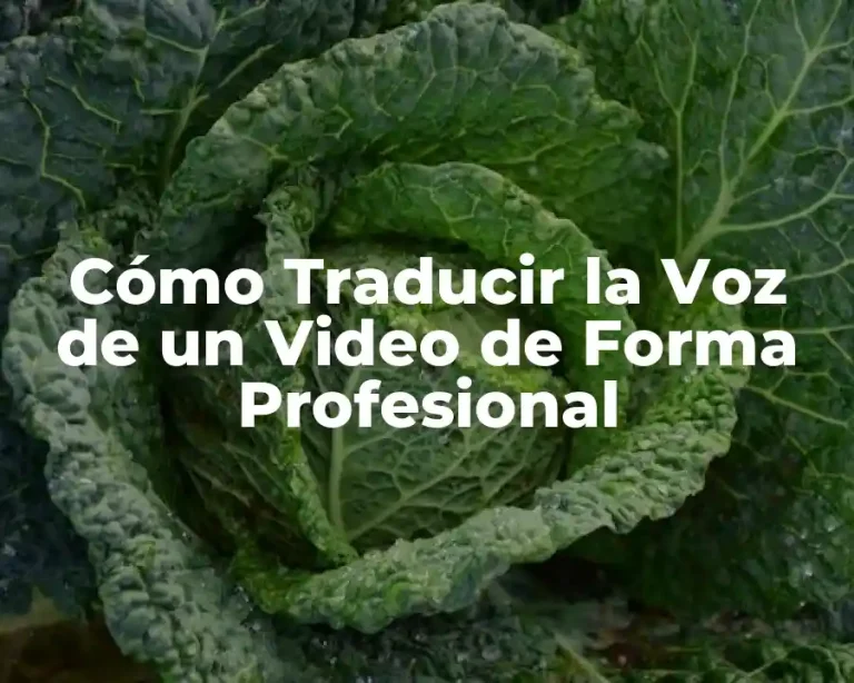 Cómo Traducir la Voz de un Video de Forma Profesional