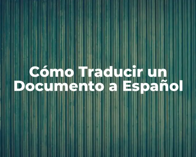 Cómo Traducir un Documento a Español
