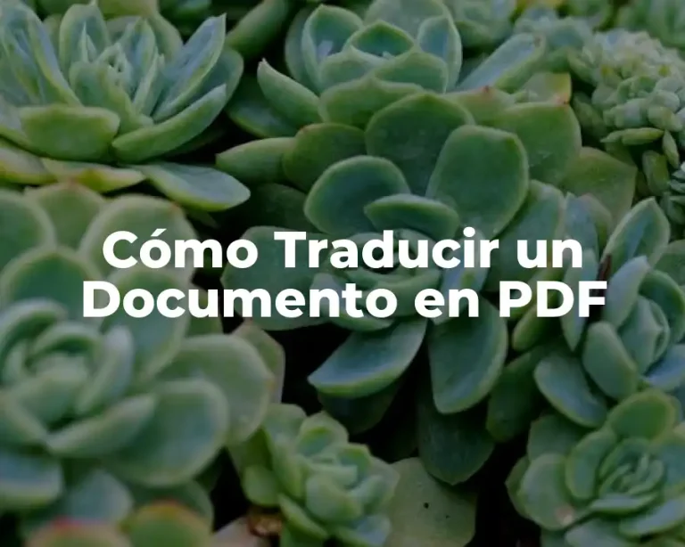Cómo Traducir un Documento en PDF