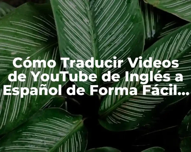 Cómo Traducir Videos de YouTube de Inglés a Español de Forma Fácil y Rápida