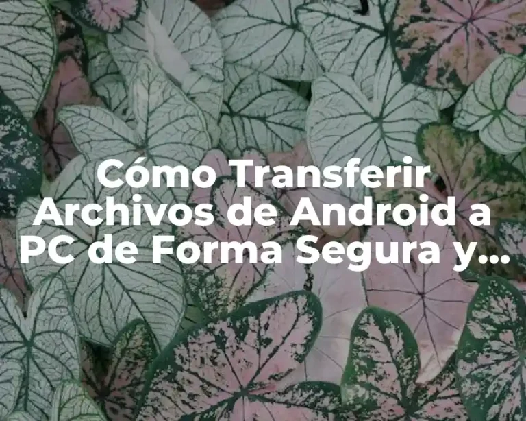 Cómo Transferir Archivos de Android a PC de Forma Segura y Rápida