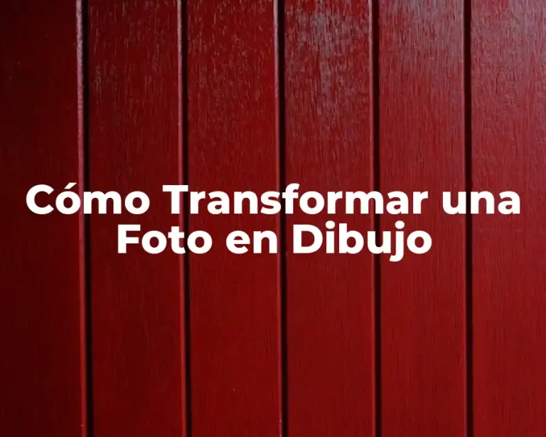 Cómo Transformar una Foto en Dibujo