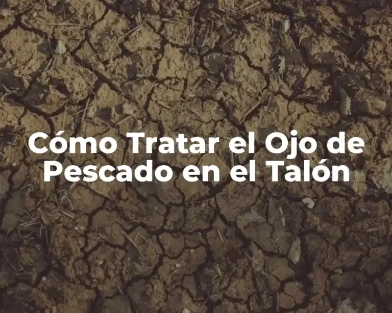 Cómo Tratar el Ojo de Pescado en el Talón