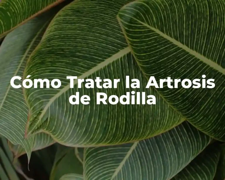 Cómo Tratar la Artrosis de Rodilla