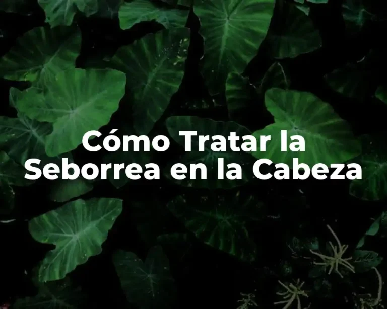 Cómo Tratar la Seborrea en la Cabeza