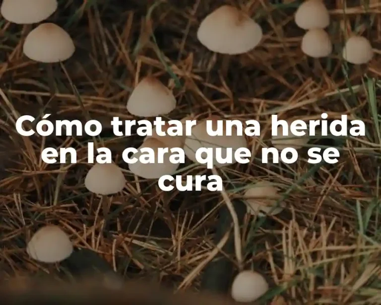 Cómo tratar una herida en la cara que no se cura